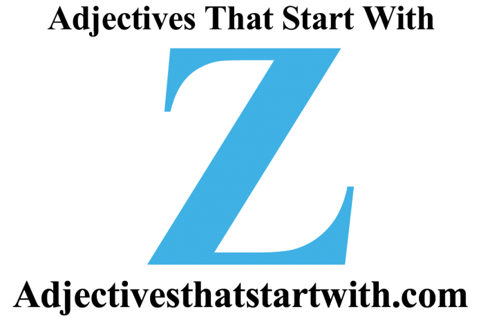 adjectives that start with z